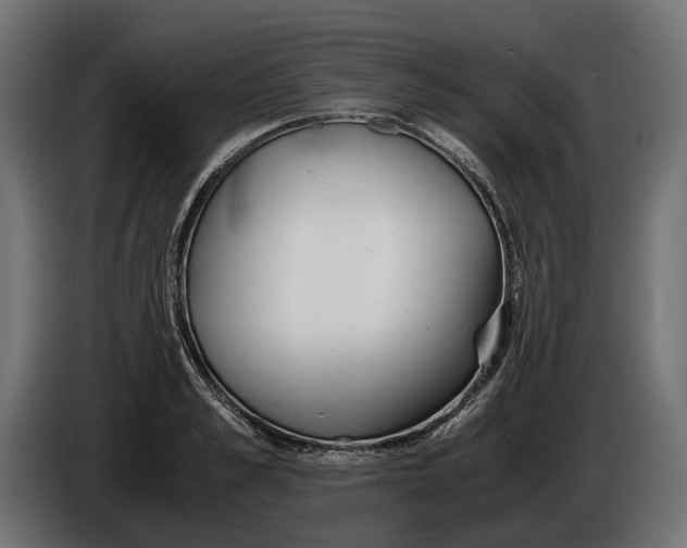 X0000086010989200704131824