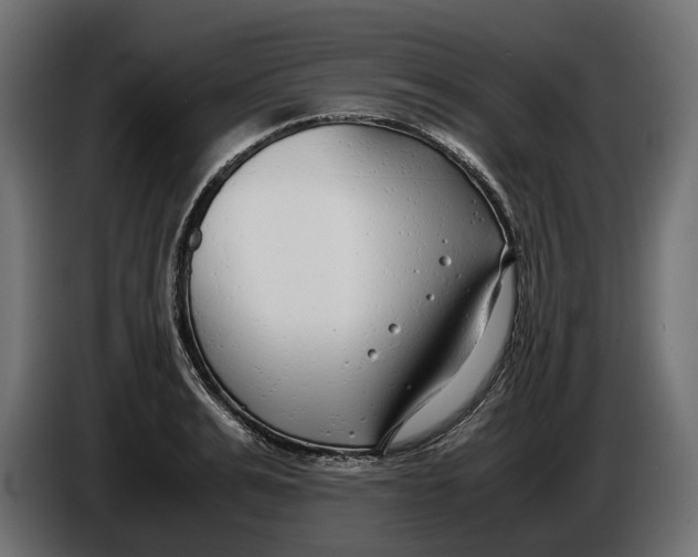 X0000086010991200704131824
