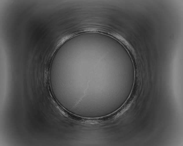 X0000086010993200704131824