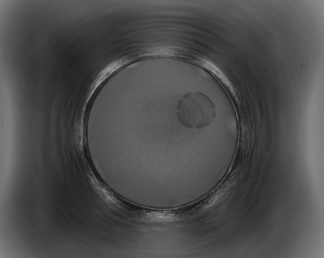 X0000086010994200704131824