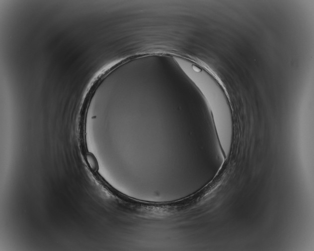 X0000086010995200704131824