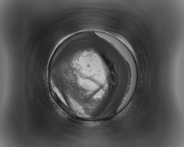 X0000086010996200704131824