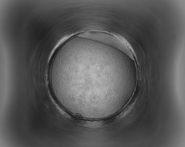 X0000086010997200704131824