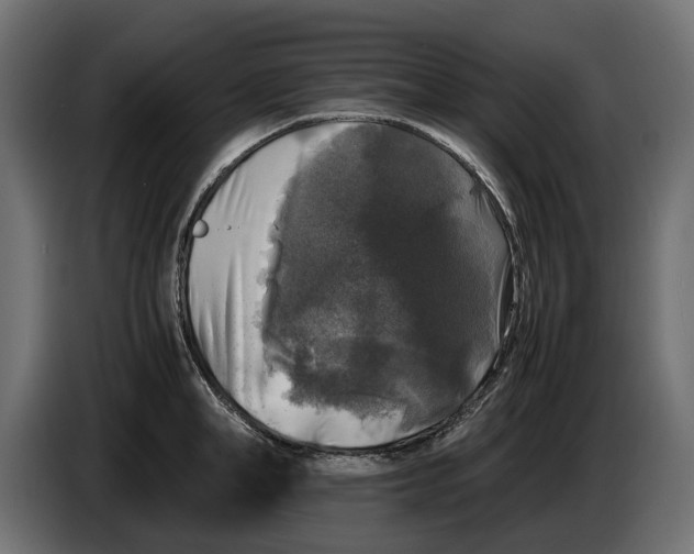 X0000086010998200704131824