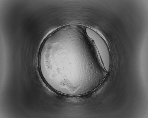 X0000086010999200704131824