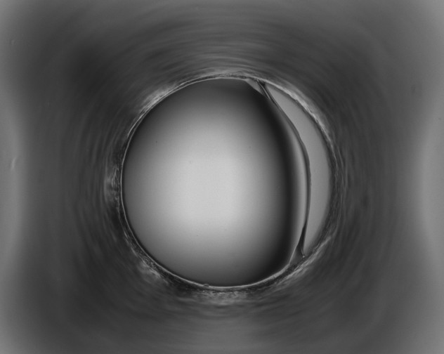 X0000086011001200704131824