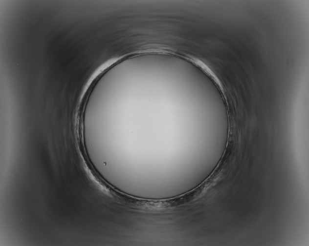 X0000086011003200704131824