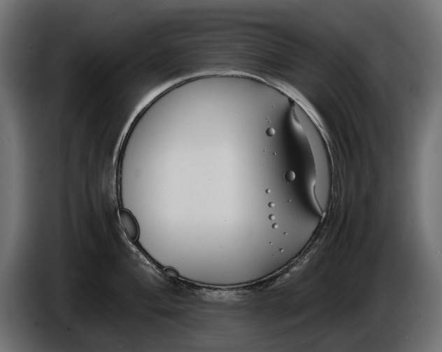 X0000086011004200704131824