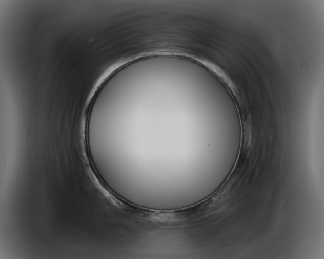 X0000086011006200704131823