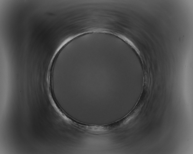X0000086011007200704131823