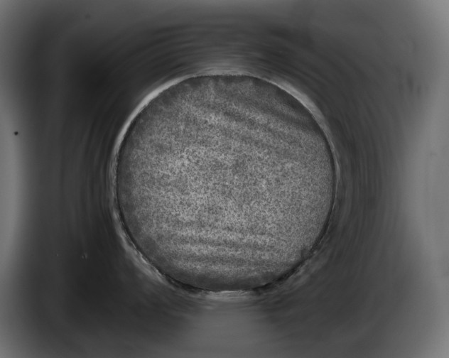 X0000086011008200704131823