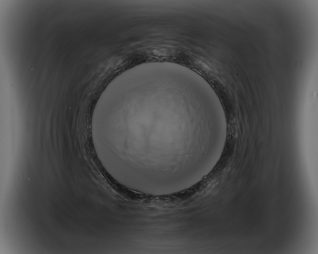 X0000086011009200704131823