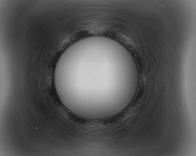 X0000086011012200704131823