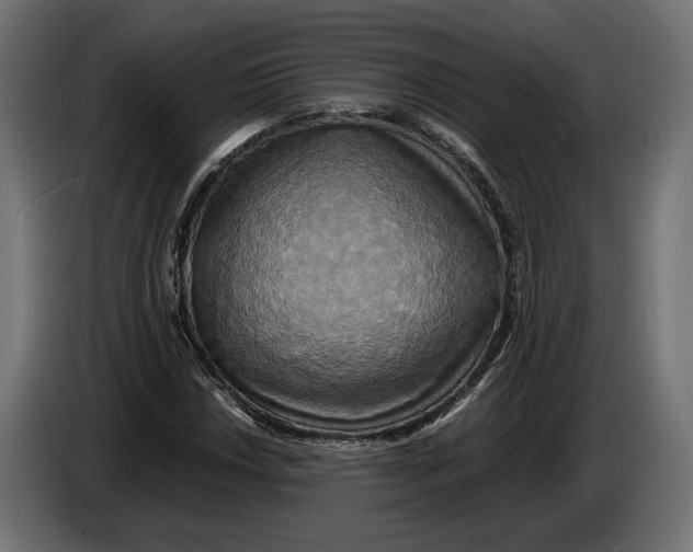 X0000086011018200704131823