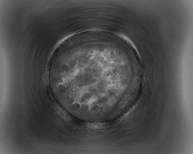 X0000086011019200704131823