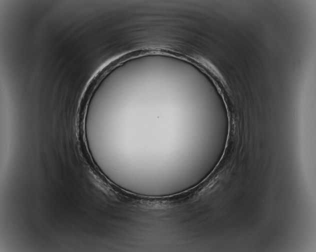 X0000086011020200704131823