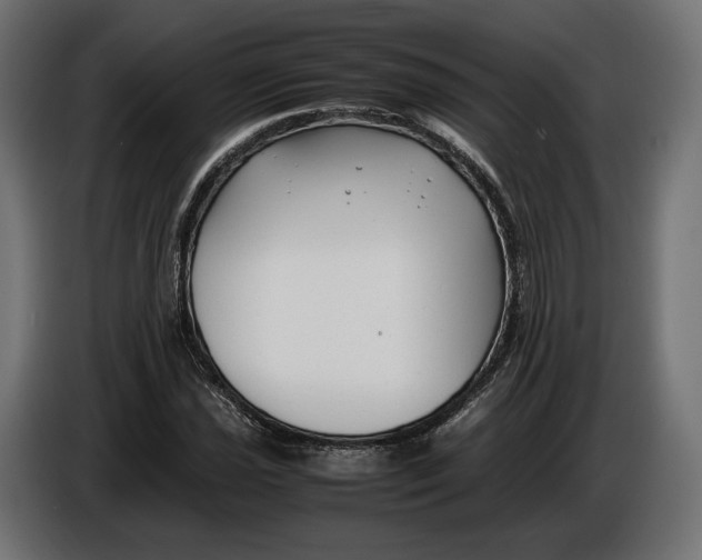 X0000086011021200704131823