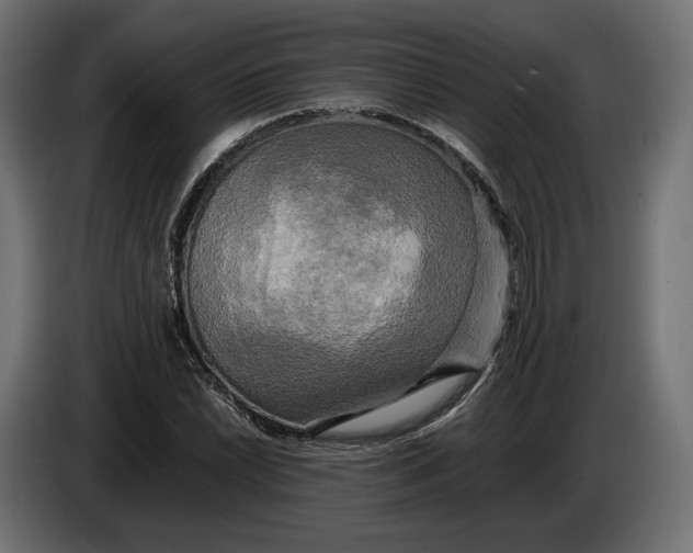 X0000086011022200704131823