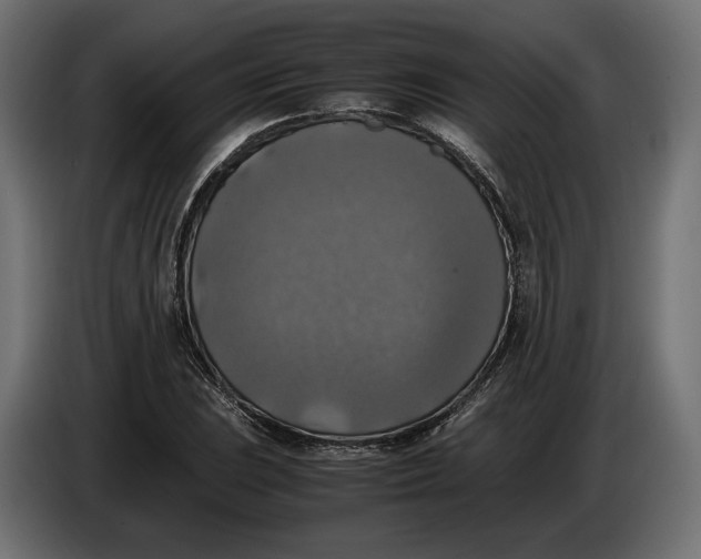 X0000086011023200704131823