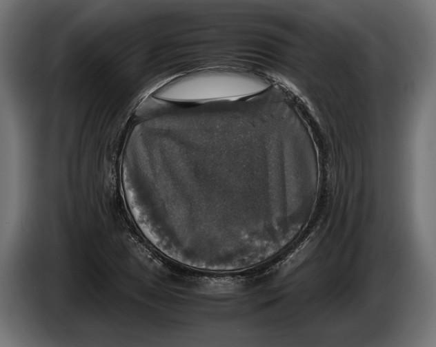 X0000086011025200704131823
