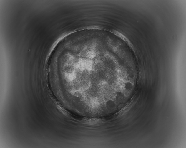 X0000086011027200704131823