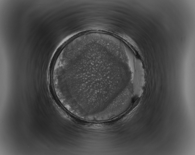 X0000086011028200704131823