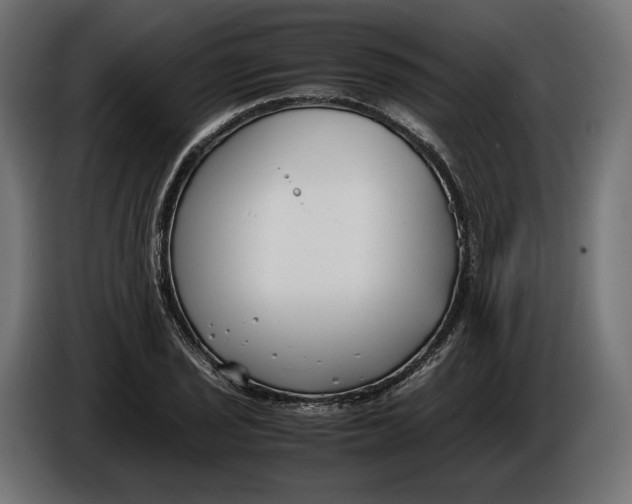 X0000086011029200704131823