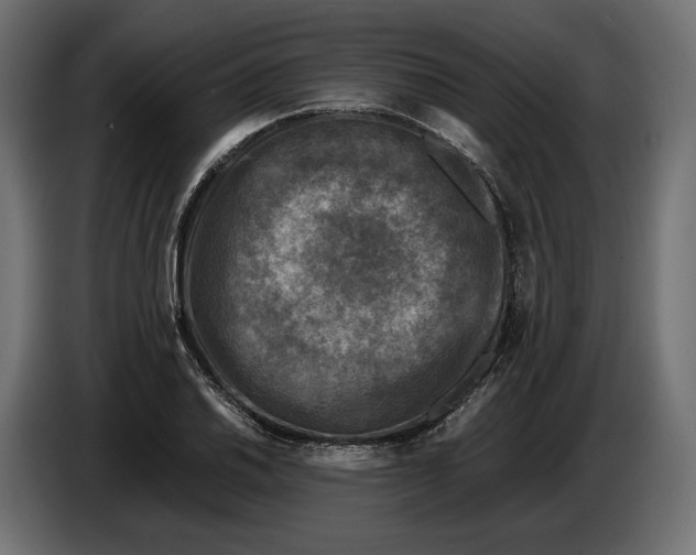 X0000086011030200704131823