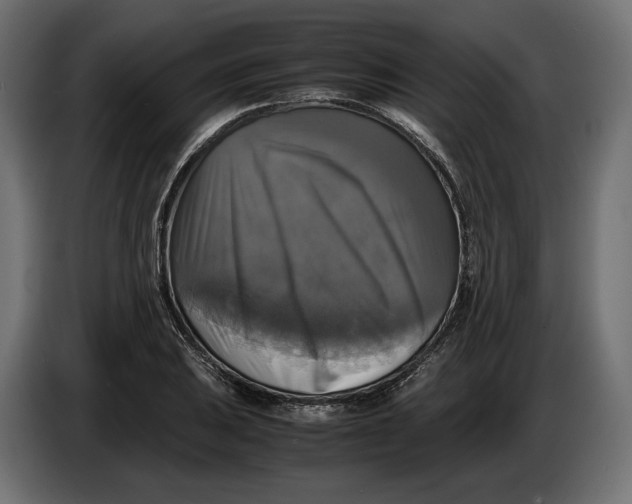 X0000086011031200704131823