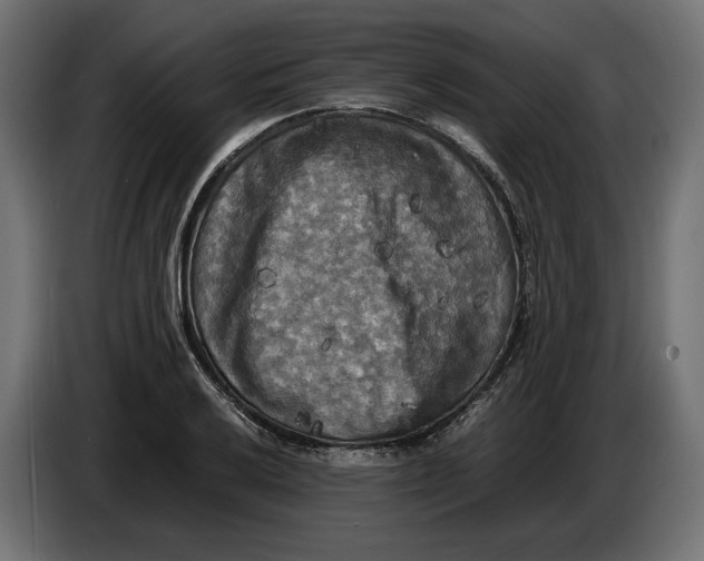 X0000086011032200704131823