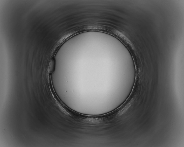X0000086011033200704131823