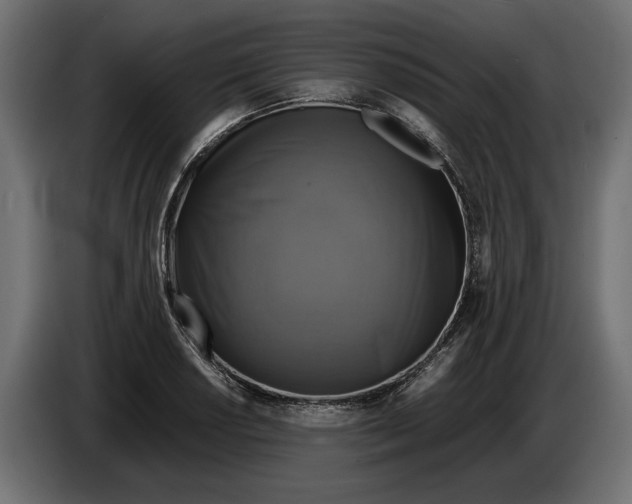 X0000086011034200704131823