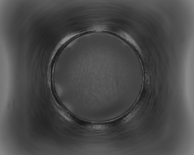 X0000086011035200704131823
