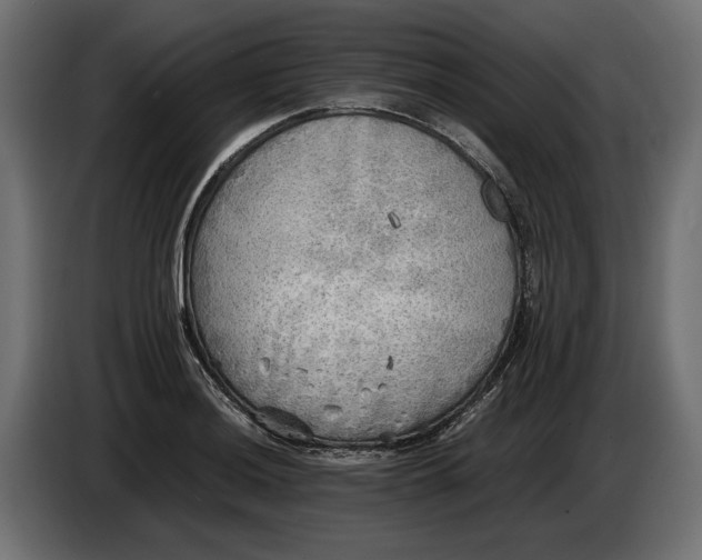 X0000086011036200704131823