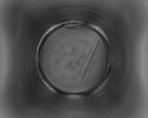 X0000086011037200704131823