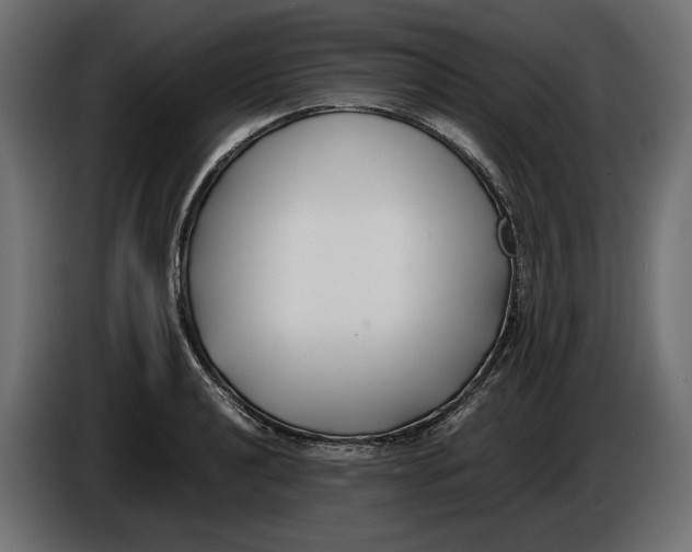 X0000086011040200704131823