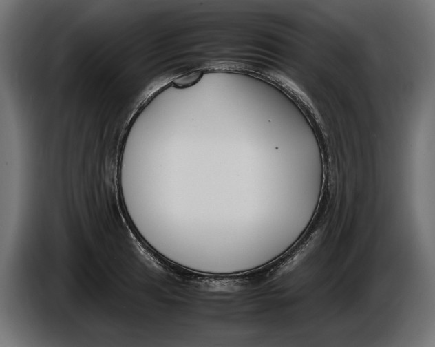 X0000086011041200704131823