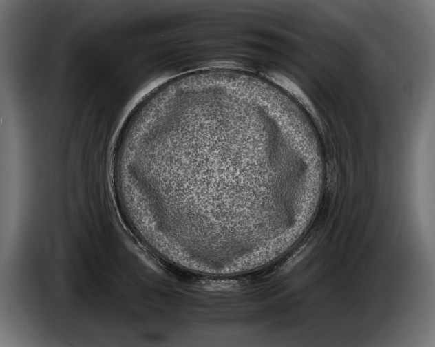 X0000086011043200704131823