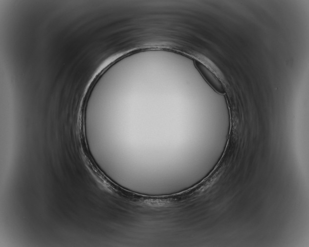 X0000086011044200704131823