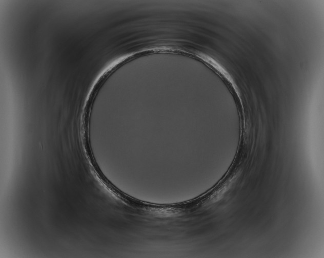 X0000086011045200704131823