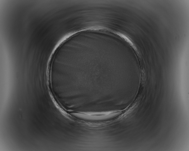 X0000086011046200704131823
