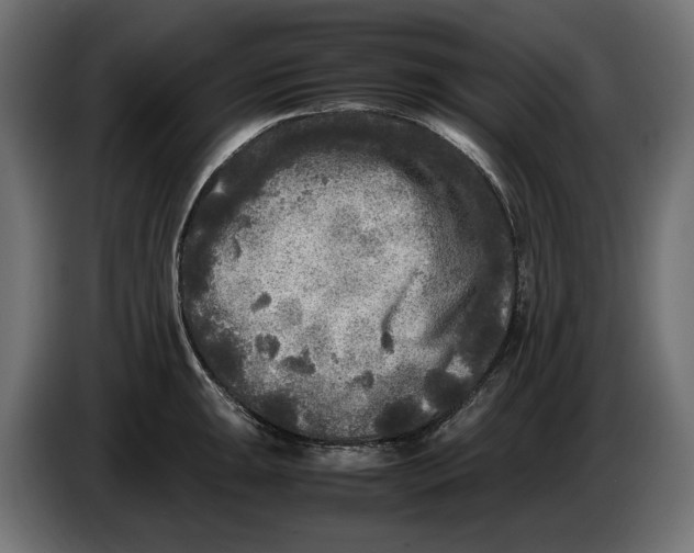 X0000086011047200704131823
