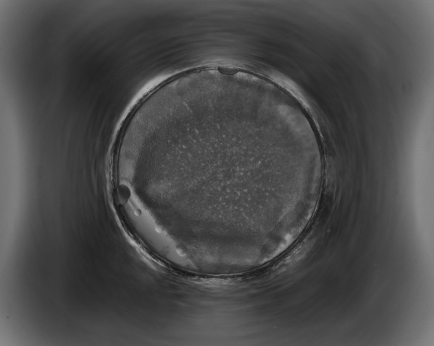 X0000086011048200704131823
