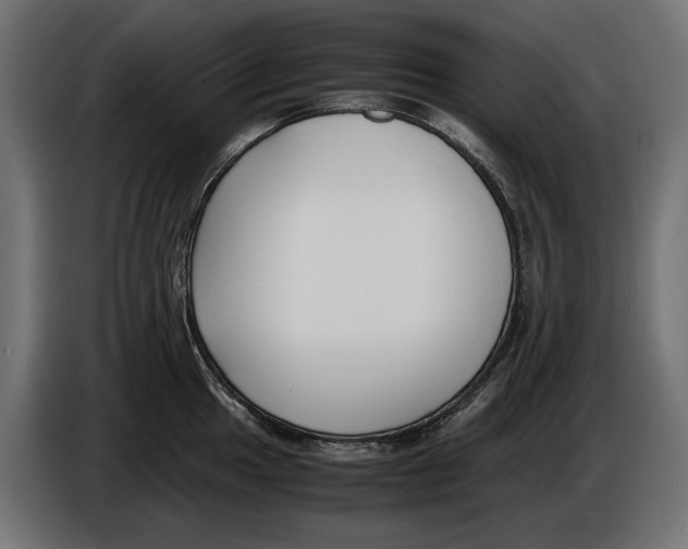 X0000086011049200704131823