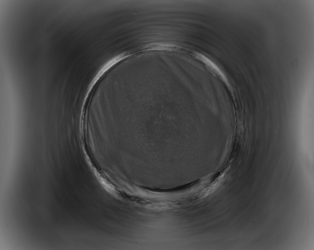 X0000086011050200704131823
