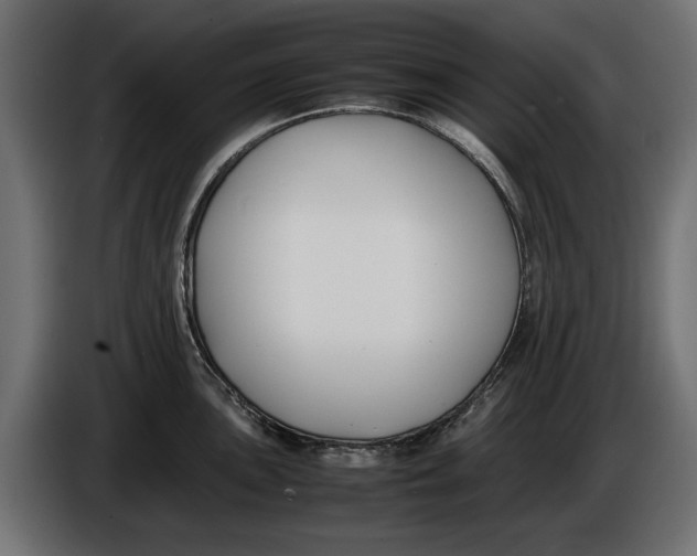 X0000086011051200704131823