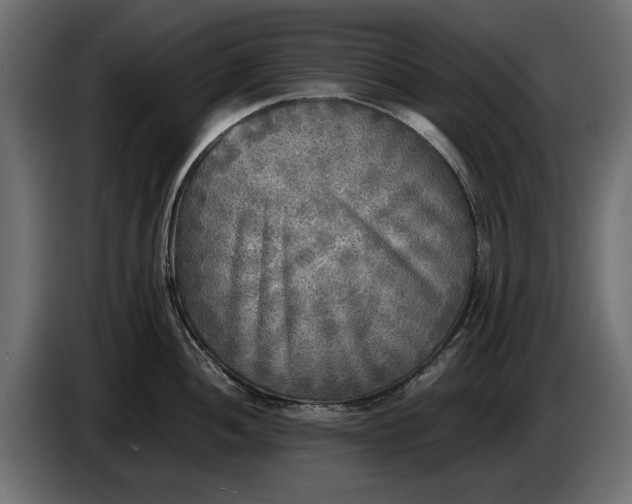 X0000086011052200704131823