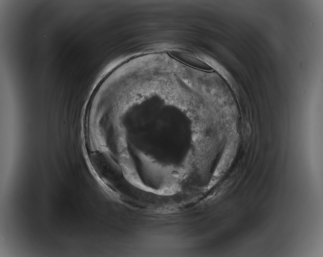 X0000086011055200704131823