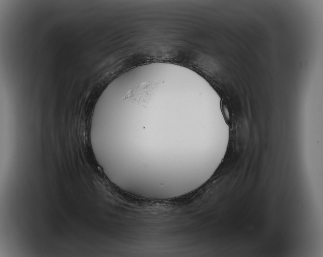 X0000086011058200704131823
