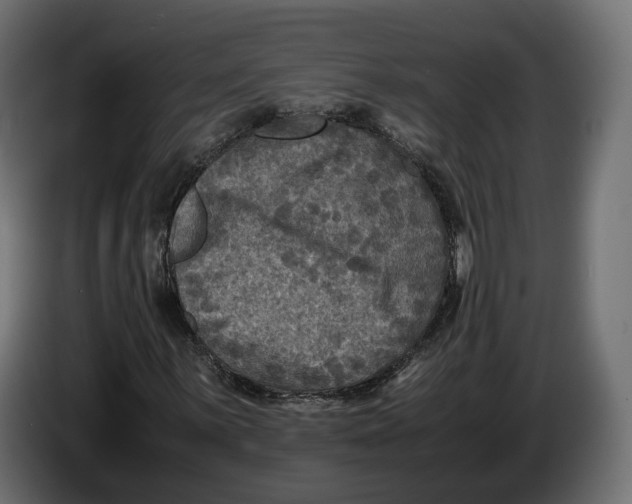 X0000086011059200704131823